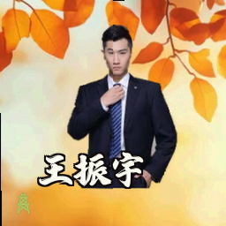 王振宇